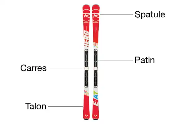 Explication d'une structure d'un ski