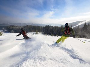 Ski freeride dans la poudreuse et en sécurité